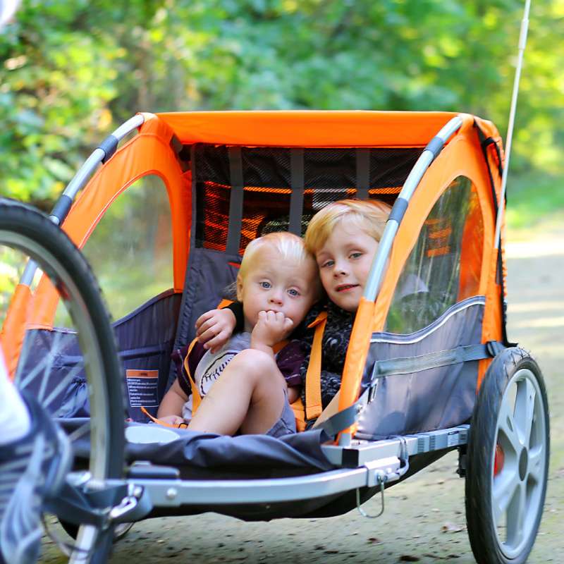 Children in Bike Trailer 