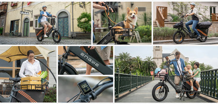 Engwe LE20 Cargo Bike - Cargo Commute & Carry