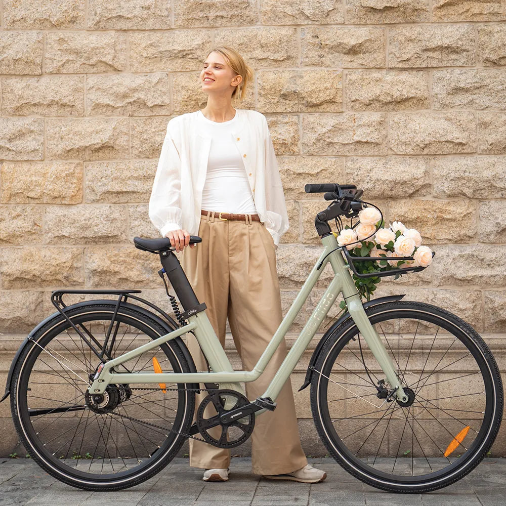 Fiido C700 Commuter E-Bike - Cargo Commute & Carry