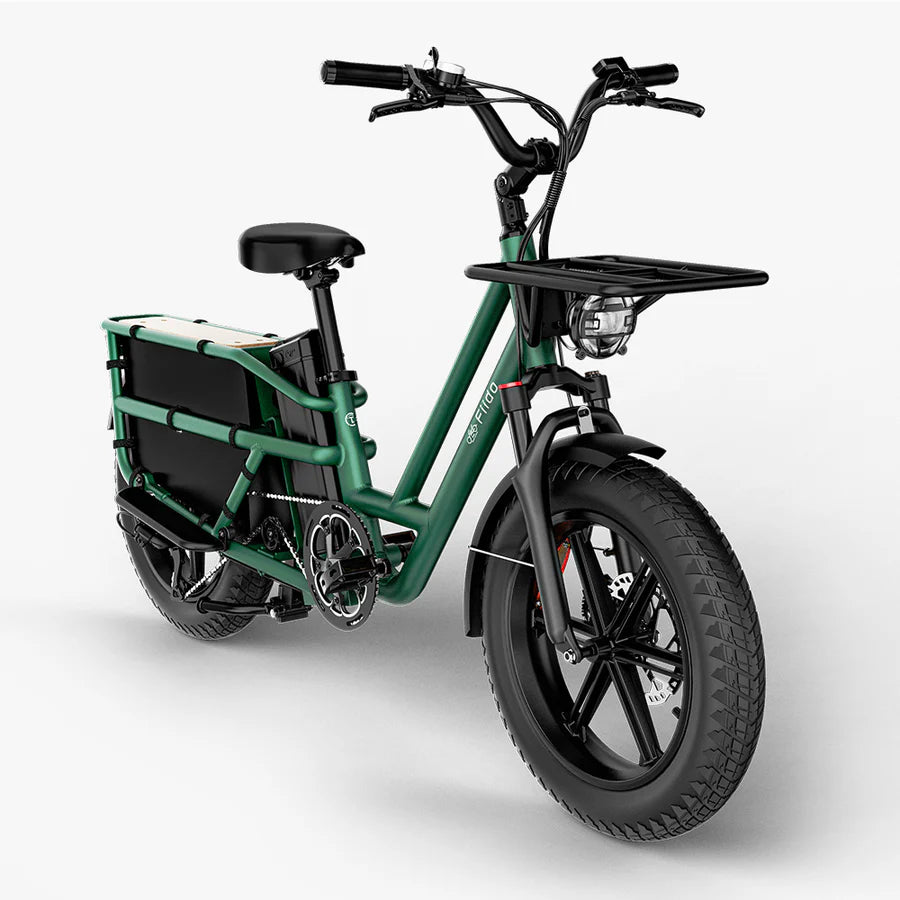Fiido T2 LongTail Cargo E-Bike 2025 - Cargo Commute & Carry