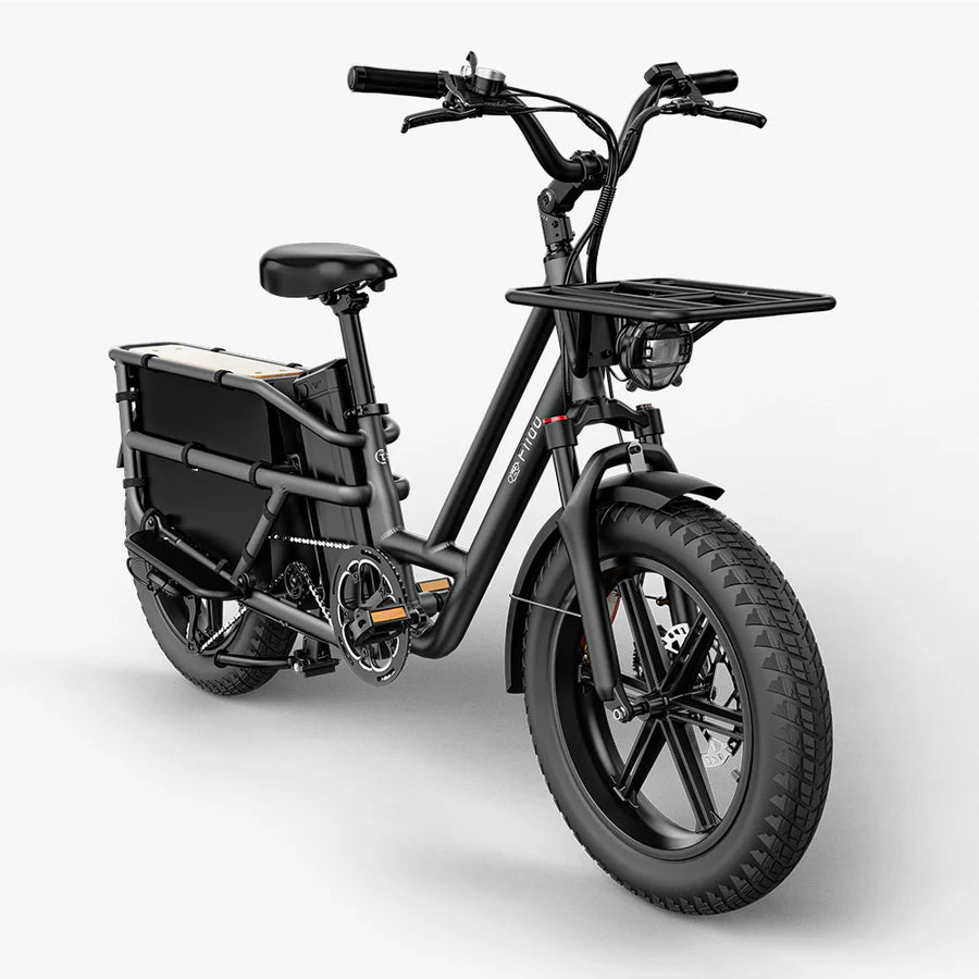 Fiido T2 LongTail Cargo E-Bike 2025 - Cargo Commute & Carry