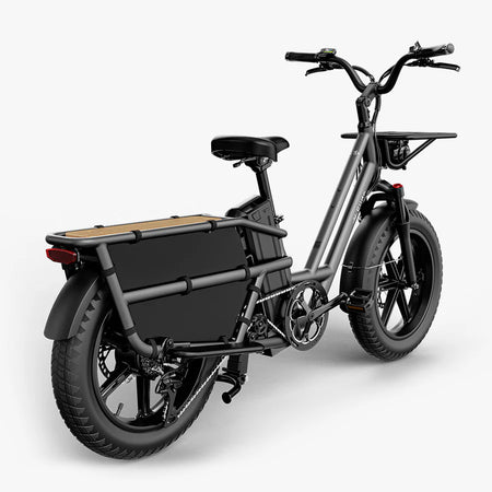 Fiido T2 LongTail Cargo E-Bike 2025 - Cargo Commute & Carry