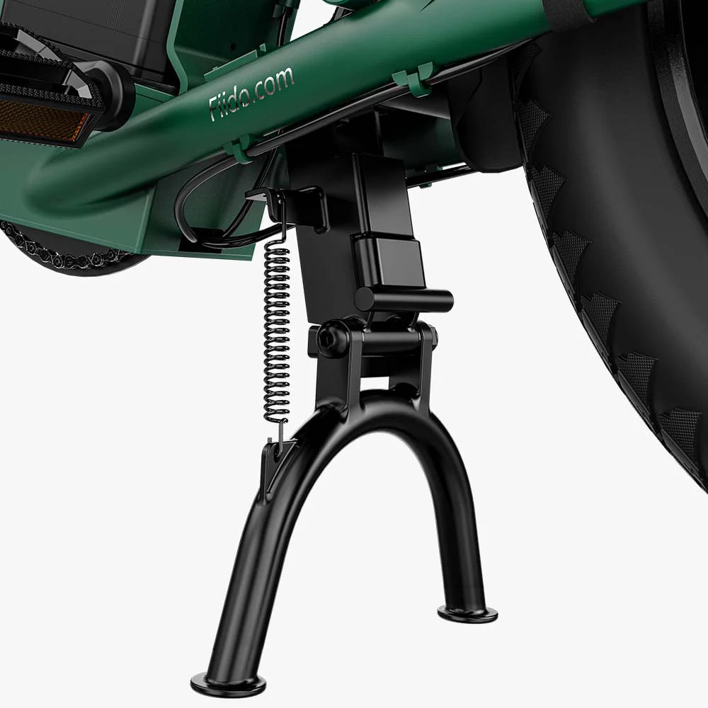 Fiido T2 LongTail Cargo E-Bike 2025 - Cargo Commute & Carry